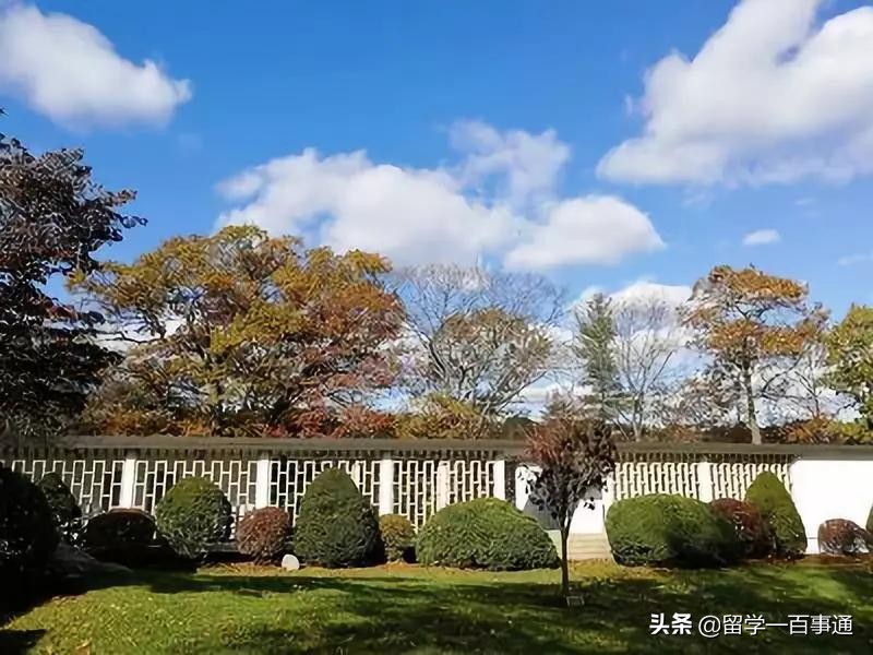 美国经济学专业留学该怎么做准备,美国留学经济学硕士就业前景如何