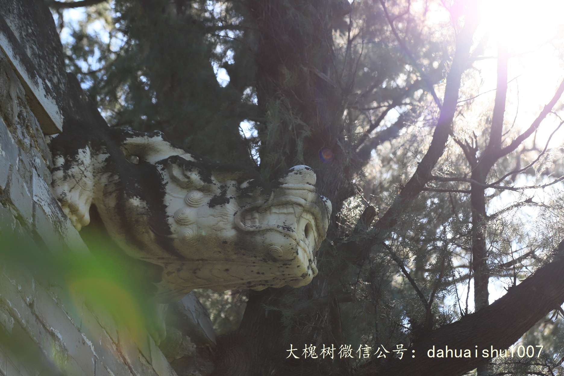 嘉靖陵墓永陵和永乐大典,明朝十三陵之永陵