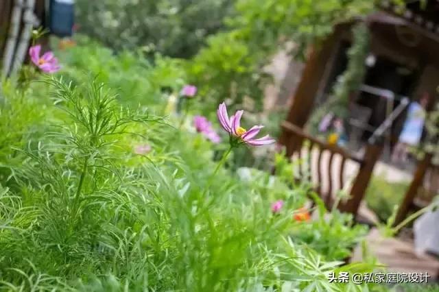 庭院景观设计——这样的庭院景观，生活可以过成诗一般！