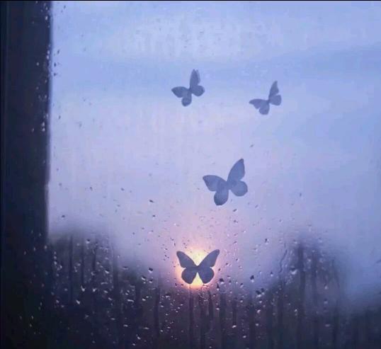 许三观卖血记全书精简书评,许三观卖血记全文