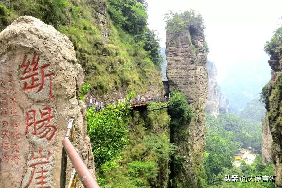 雁荡山啤酒颜色差别,雁荡山景区喝雁荡山啤酒图片