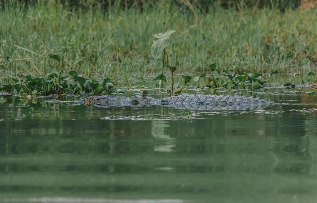 *局骗**和微笑,3000元带你体验双面尼泊尔