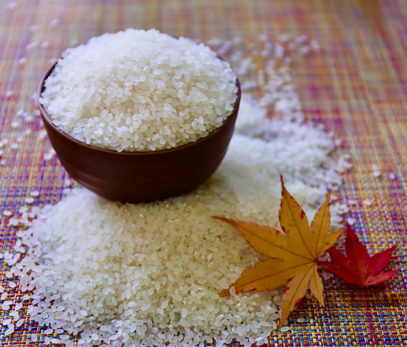 聊聊电影解说,聊聊app