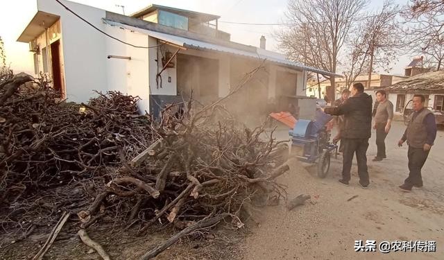 畜禽粪便是很好的有机肥越多越好,畜禽粪便主要原料的有机肥外观