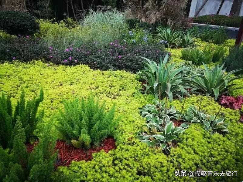 彭祖山在哪里,彭祖山什么时候打造完成