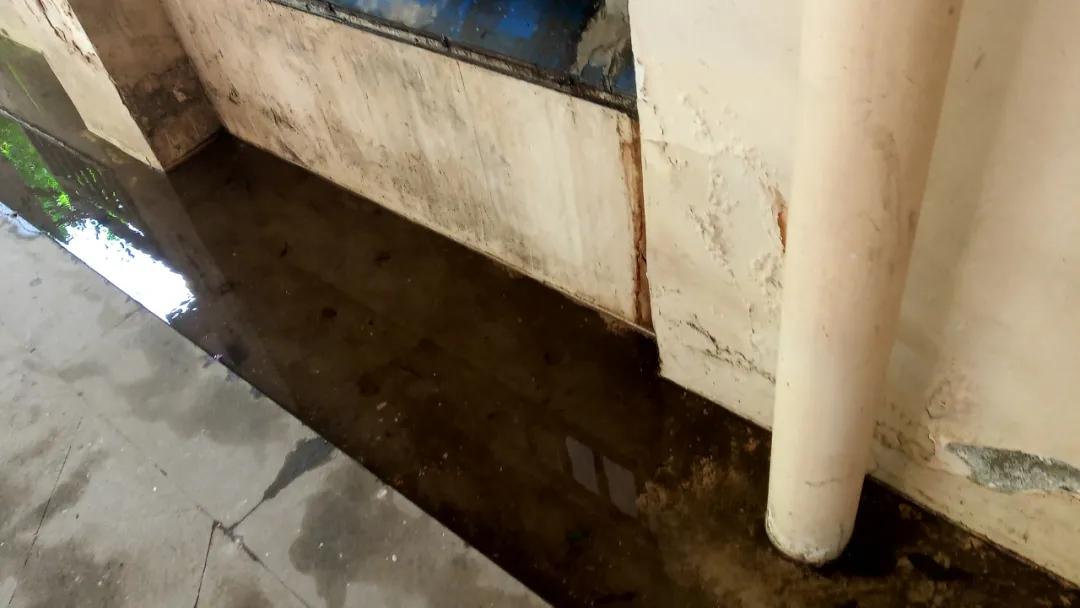 中房和万科物业哪个好,中房物业vs金佳物业