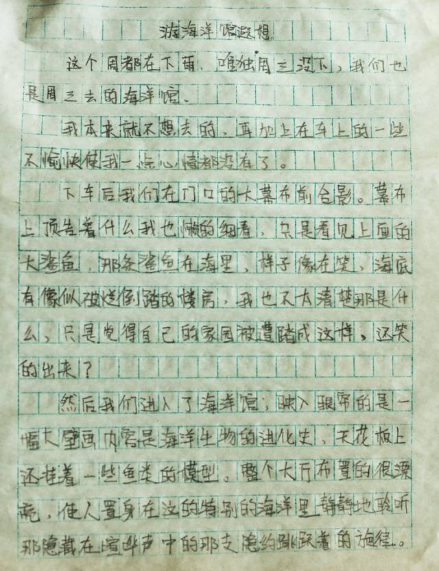 观看海洋博物馆的作文,海洋馆探险之旅作文