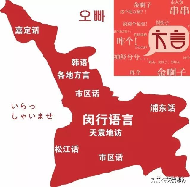 上海闵行区城市面貌,上海市闵行区的发展变化