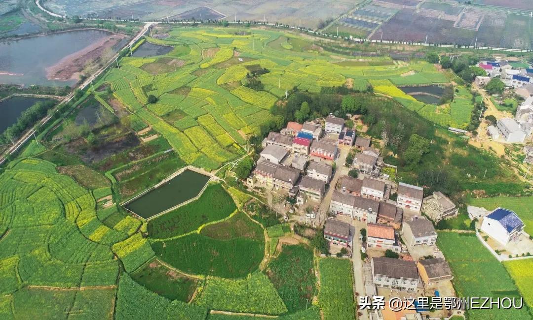 快看，又有顶级合伙人加盟鄂城