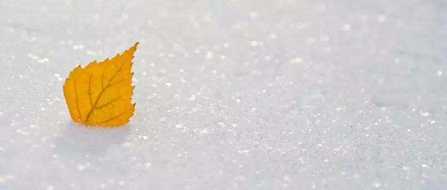 “我去死一死，大家别担心”|一起赶跑抑郁