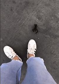 搞笑gif表面稳中带皮实则慌中带急,搞笑gif这才是真正的飙车王者