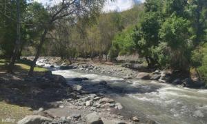 石河子返疆政策,石河子疆内旅行