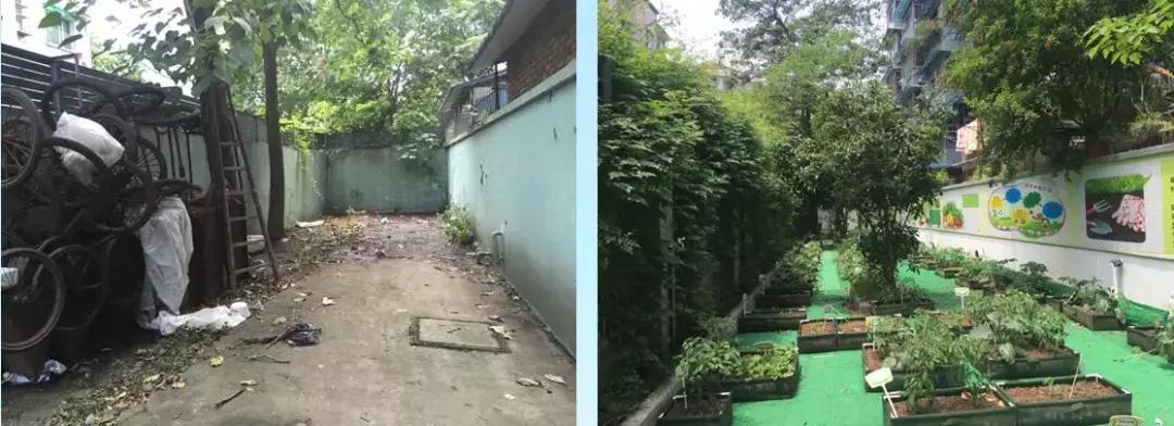 首创！什么是最满意工作？半山社工履职评价等你投票来决定