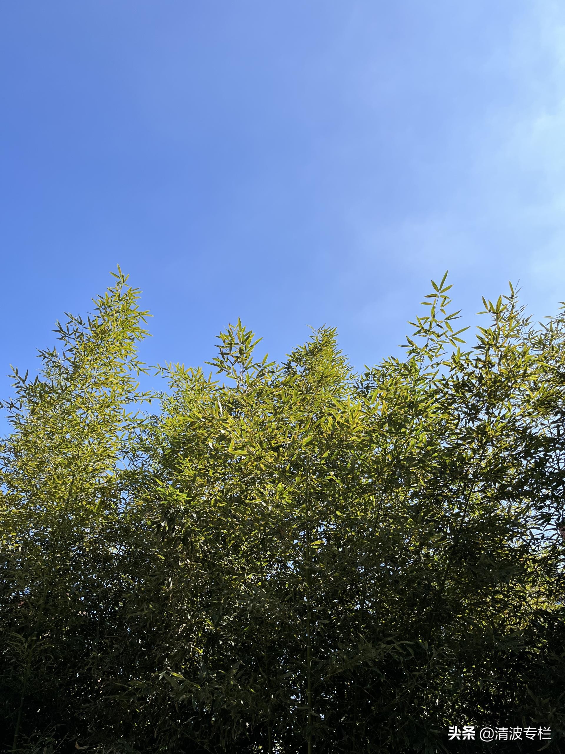 苹果iPhone13系列国庆选购指南：Pro和Mini不用考虑