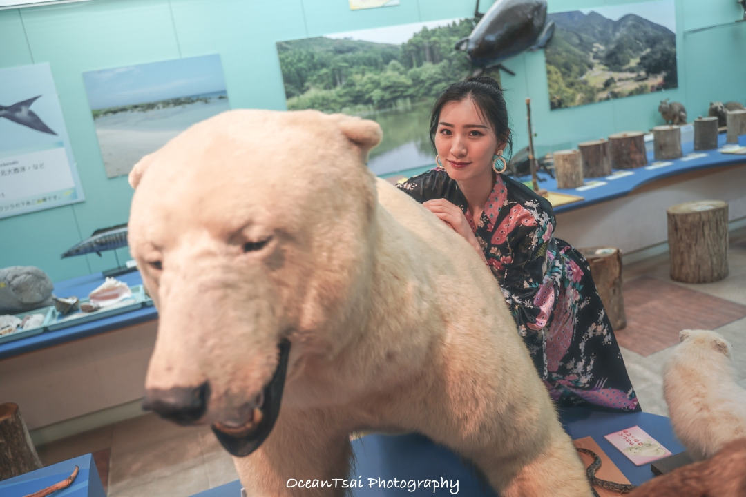 日本游轮游避坑,日本邮轮八天七夜具体行程