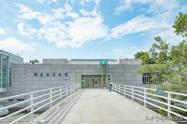 深圳最值得免费去的十大景点,深圳有哪些地方是免费景点