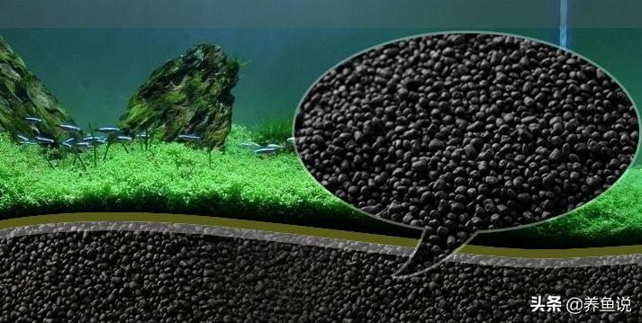 水草泥和陶粒砂火山石有啥区别,鱼缸种水草是陶粒好还是水草泥好