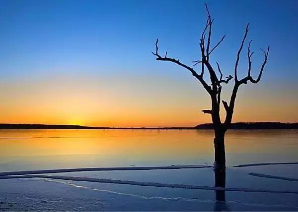 刘禹锡革新,放言刘禹锡