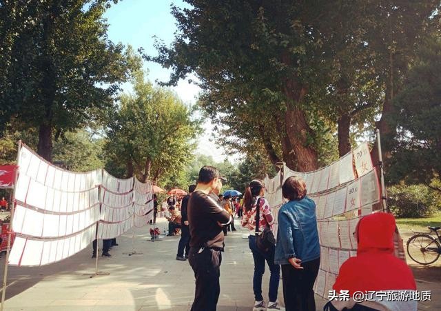 沈阳南湖公园老年相亲,最新沈阳南湖公园相亲