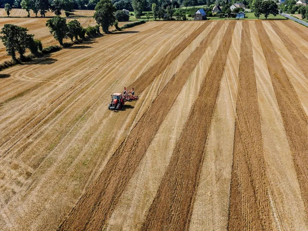 开发快快快！价格低低低！底盘小巧小！市场火火火！故障高高高