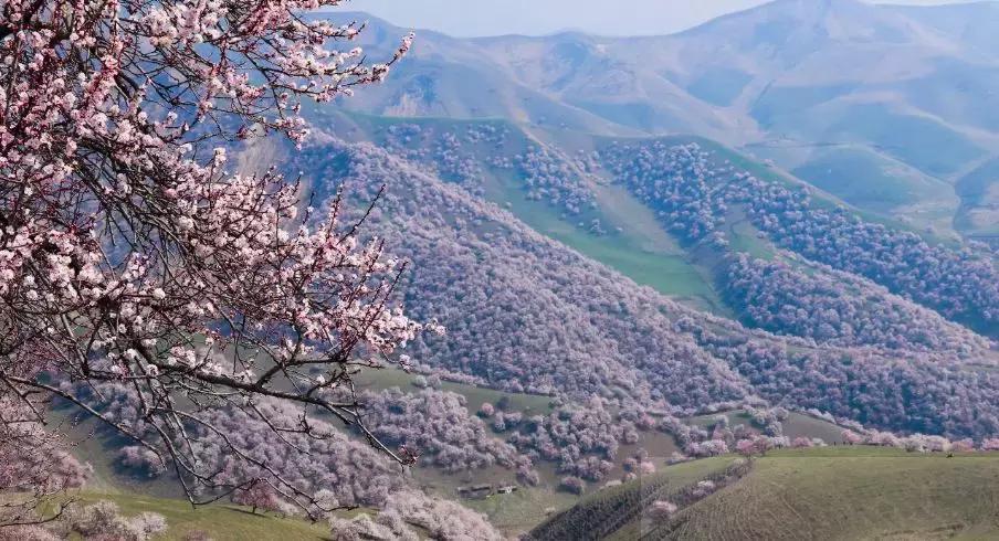 冬天的阿勒泰冰雪,冬天的雪冰雪奇缘