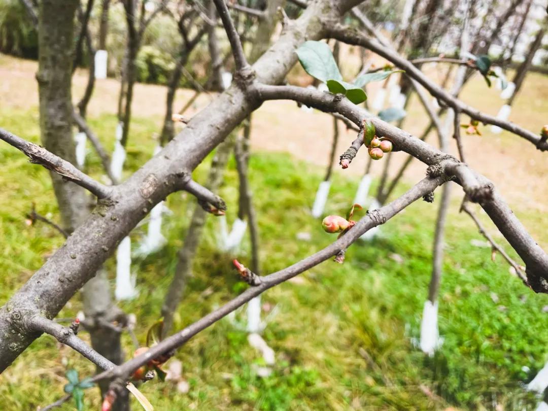 最好的足球场地是哪里,最好的足球场地在哪里