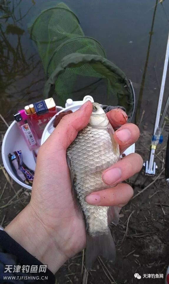 津南大学城，还是原来的地方，还是原来的味道