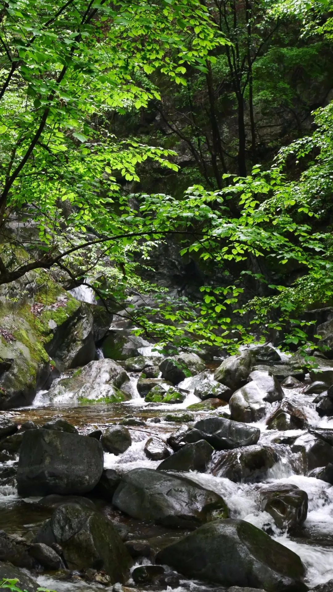 一起爬山吗?西安这些山不仅野,还不要钱~