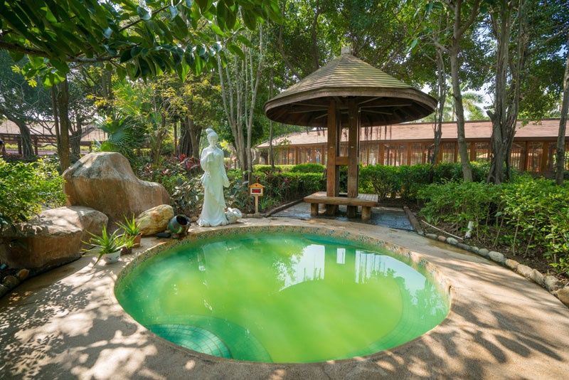 厦门天沐温泉年票,厦门天沐温泉恐龙侏罗纪