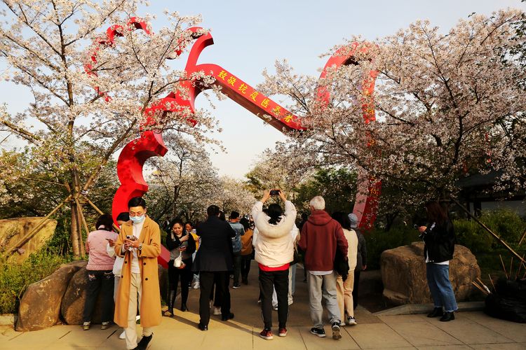 鑻遍泟褰掓潵妯辫姳鏈夌害,妯辫姳鐩涘紑鑻遍泟褰掓潵瀹屾暣瑙嗛
