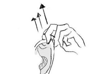 经络不通经络疼怎么治,老年人经络不通疼痛怎么办