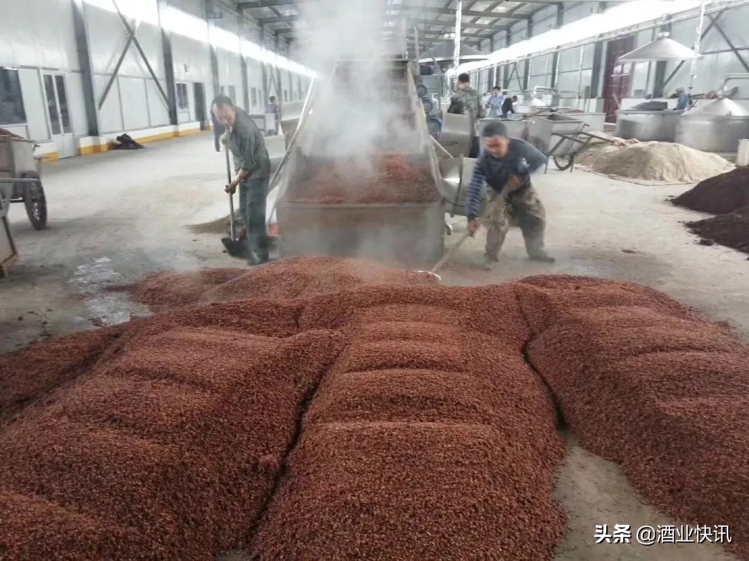 白酒知识酒文化,白酒知识粮食酒