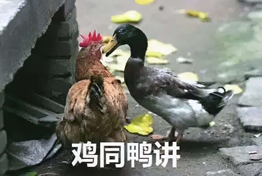 伦艺面试通过率有多少,伦艺面试后多久给通知