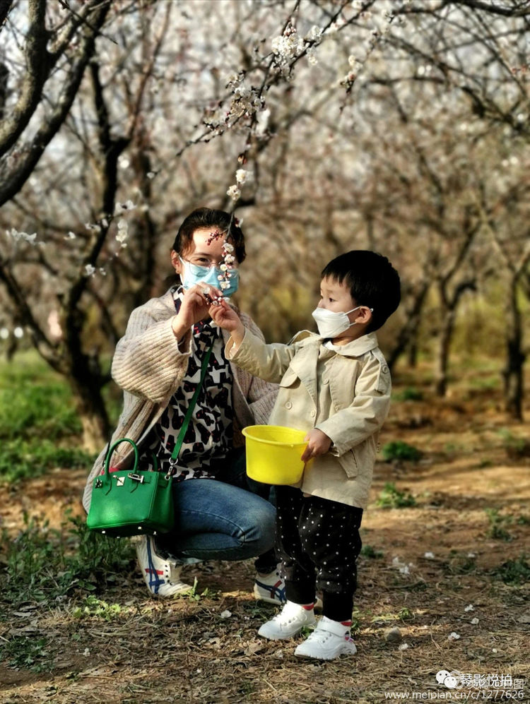 金色童年8张图片,金色的童年相片