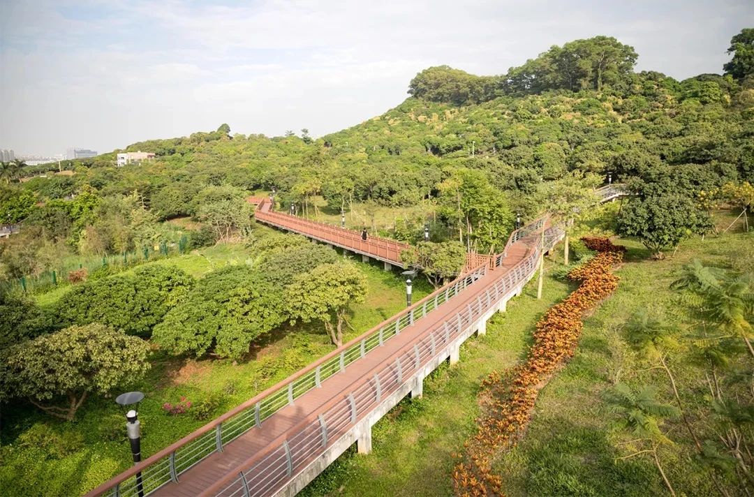 最美湖泊小众风景,最美湖泊西湖