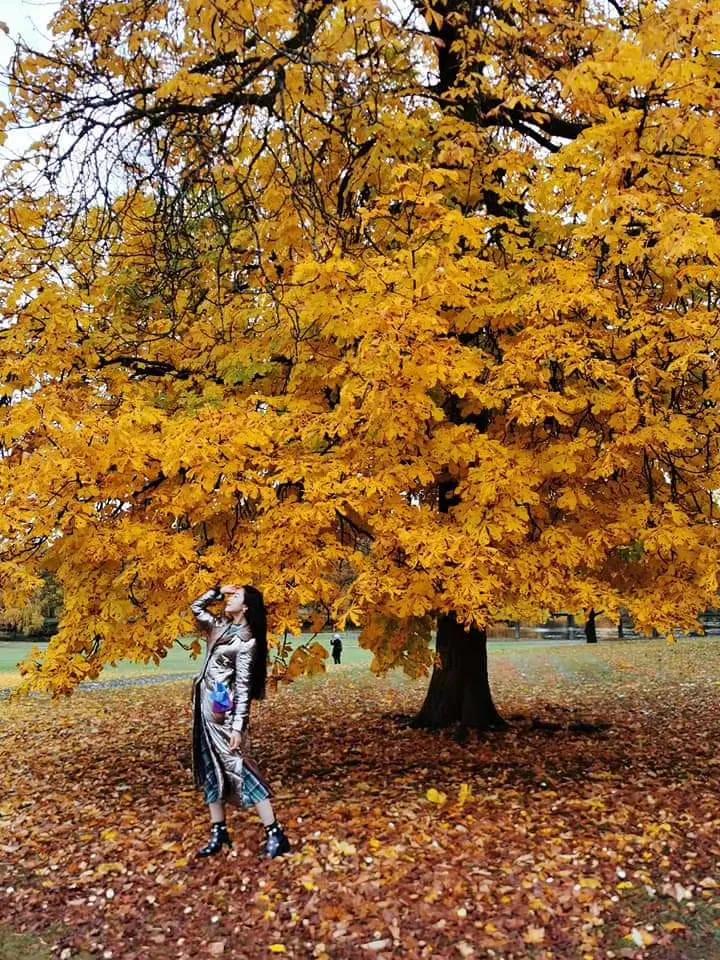 该承担的责任必须承担,责任必须承担的说说