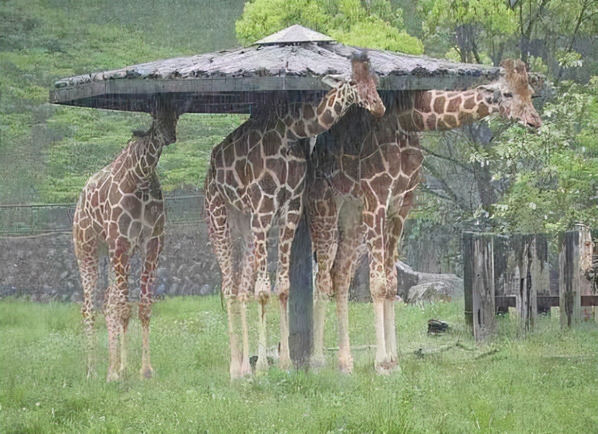 请扶好下巴！9个让人大吃一惊的网站，建议偷偷看