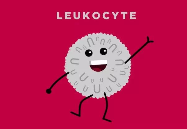 为什么经常生病的人反而活得长久,经常生病的人该怎么办