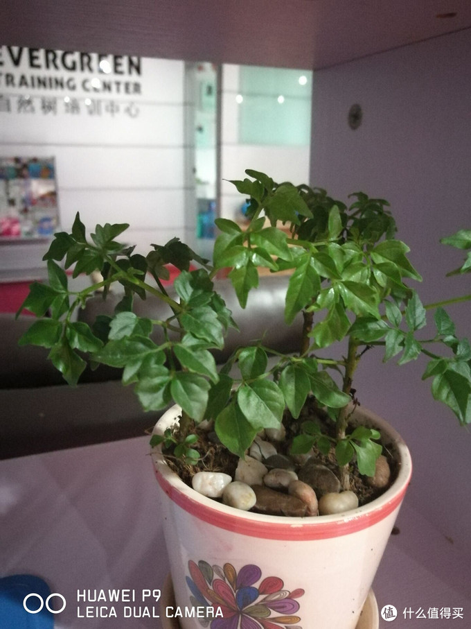 华为p9最新伦敦发布,华为p9真机曝光