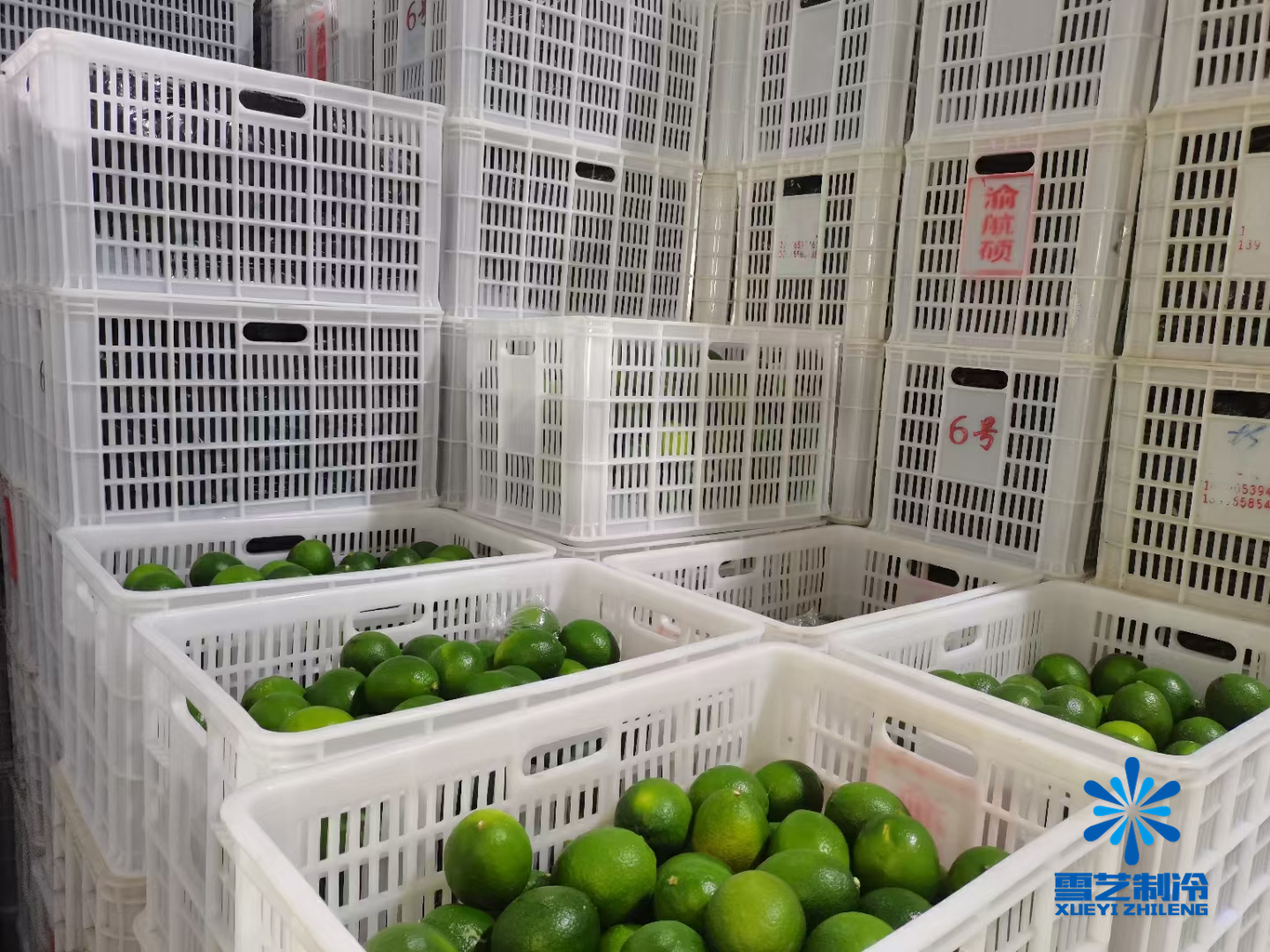 开个冷库需要投资多少,开一个冷库怎么赚钱