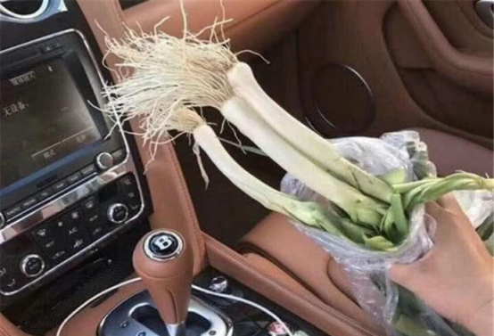 拉大葱被罚,拉大葱司机道歉认错视频