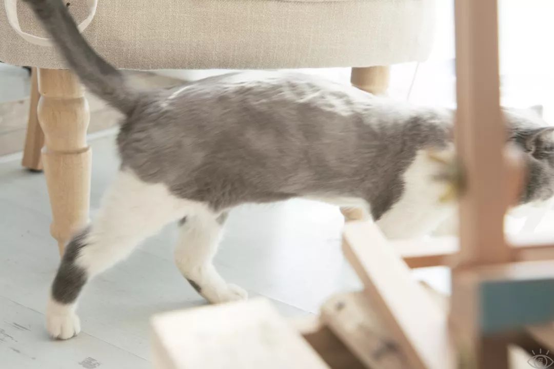 南山科技园有什么玩的,深圳南山科技园游玩