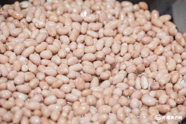 潮汕人和客家人吵架电视剧,潮汕人和客家人打架电影