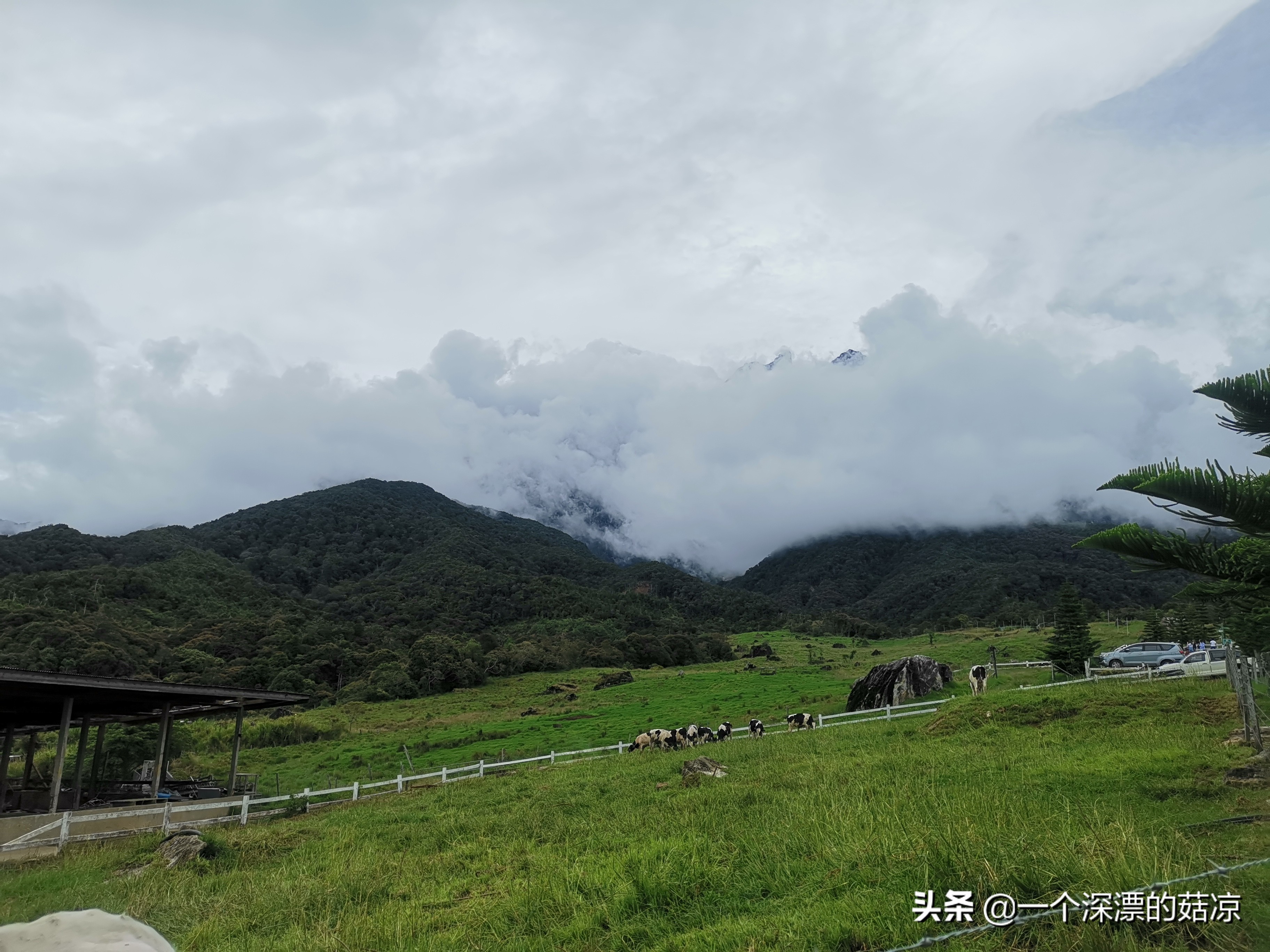 在夏天结束之前再去海边,在夏天结束前去海边