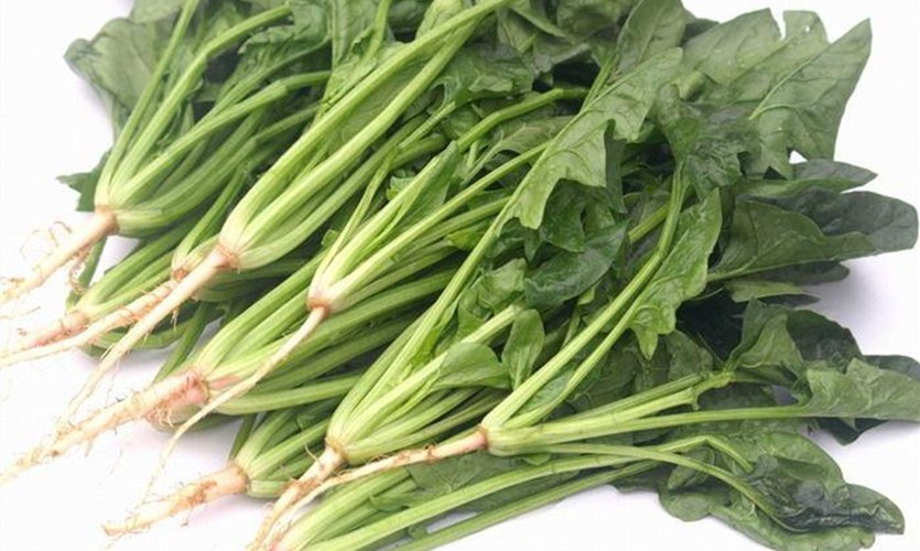 菠菜油泼面的做法,菠菜怎么油泼好吃