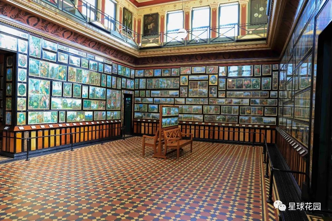 二木带你游花园|邱园（kewgarden）离我们到底有多远？