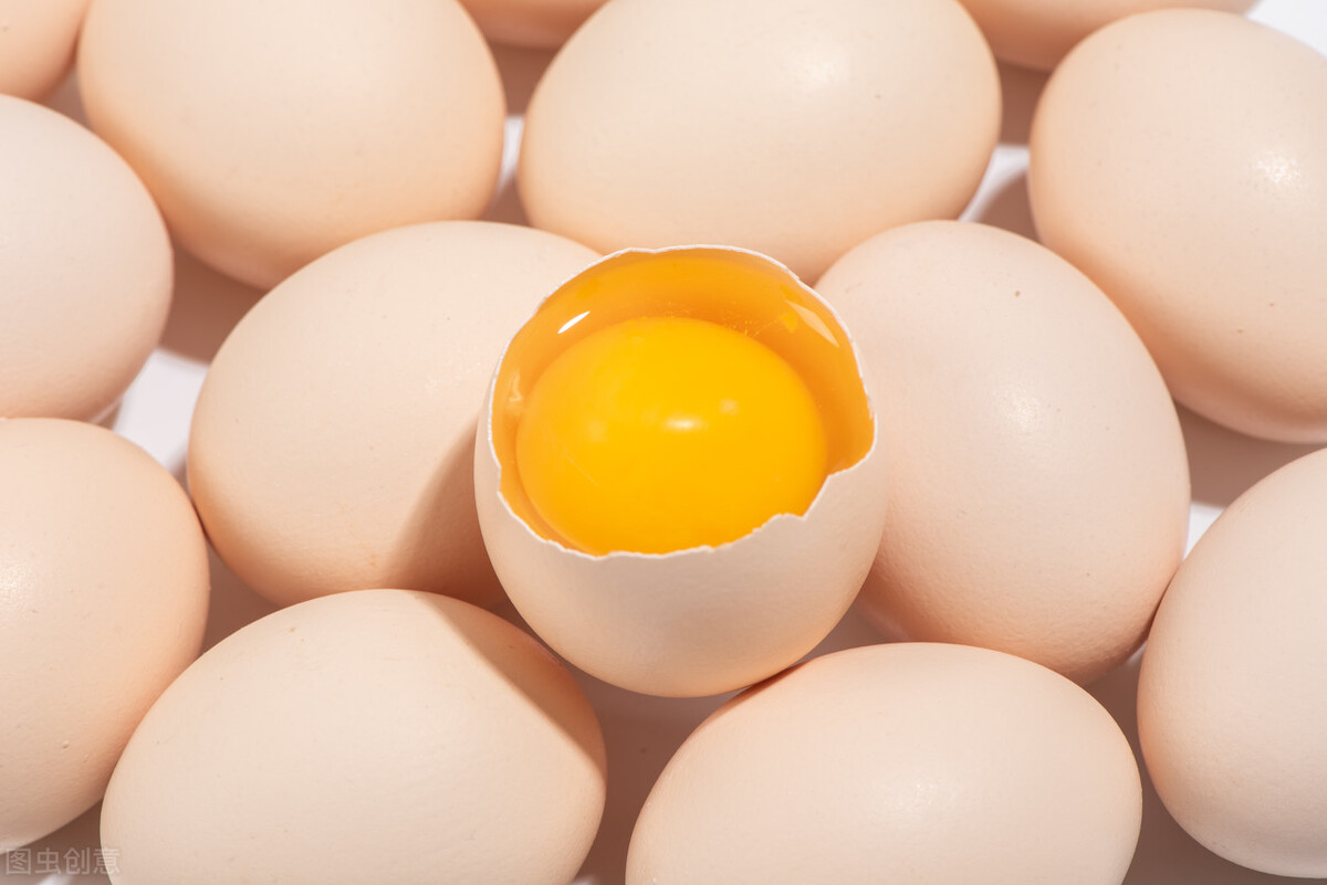 狗狗不能吃的十种食物,狗狗不能吃的食物你知道多少