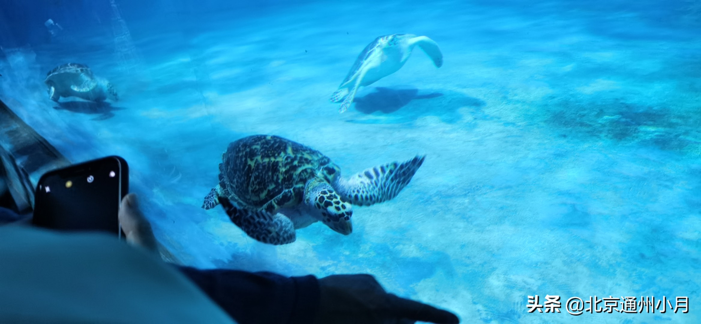 值得去看的海底世界,北京市海底世界门票多少钱