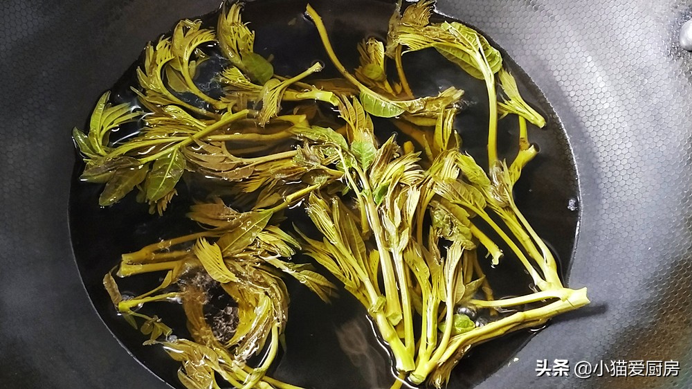 香椿有哪些做法好吃又简单,香椿最好吃的十种做法