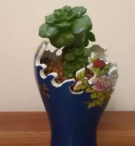 用酒瓶怎么做好看的花盆,从废旧酒瓶到创意花盆的华丽转身